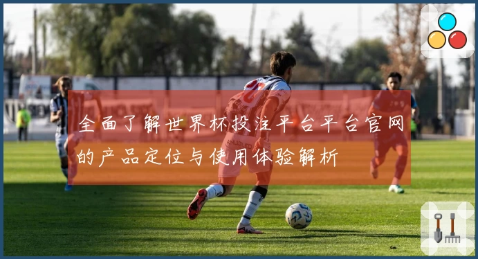 全面了解世界杯投注平台平台官网的产品定位与使用体验解析