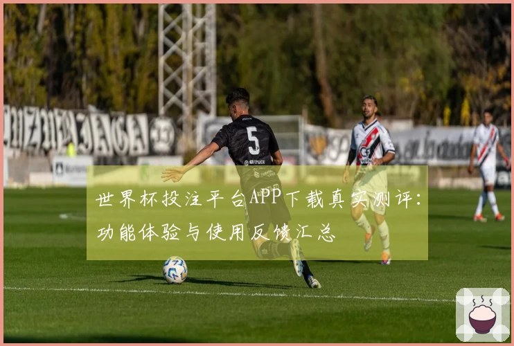 世界杯投注平台APP下载真实测评：功能体验与使用反馈汇总