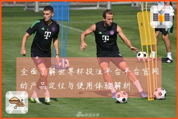 全面了解世界杯投注平台平台官网的产品定位与使用体验解析