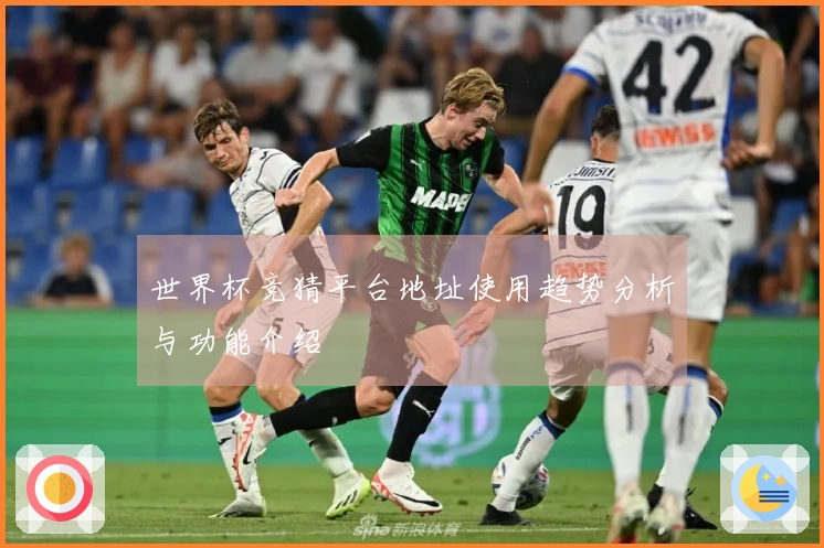 世界杯竞猜平台地址使用趋势分析与功能介绍